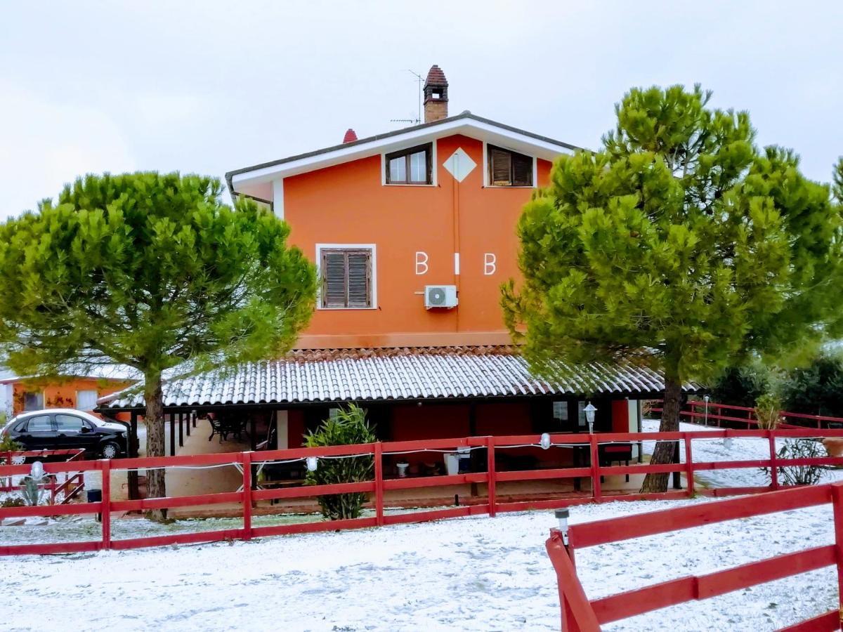 B&B Gli Amici Del Tubarello Розето дели Абруци Екстериор снимка