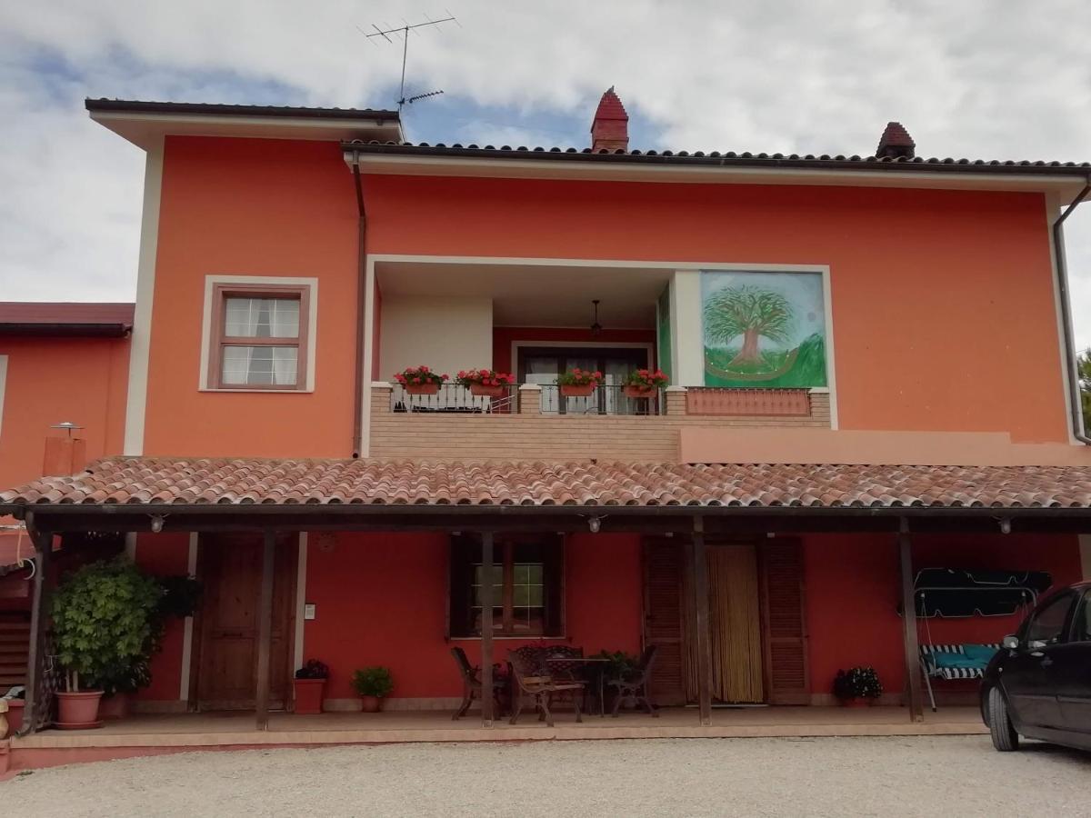 B&B Gli Amici Del Tubarello Розето дели Абруци Екстериор снимка